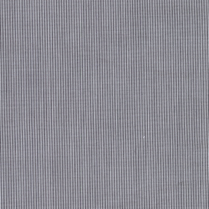 Grey Stripe