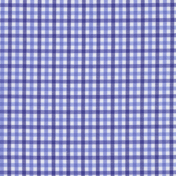 Blue Plaid