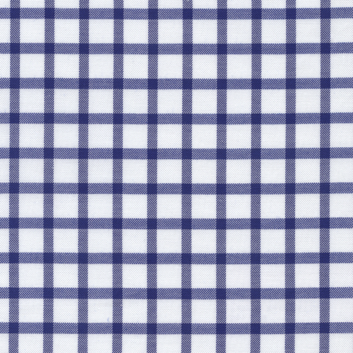 Blue Plaid