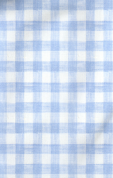 Light Blue Gingham